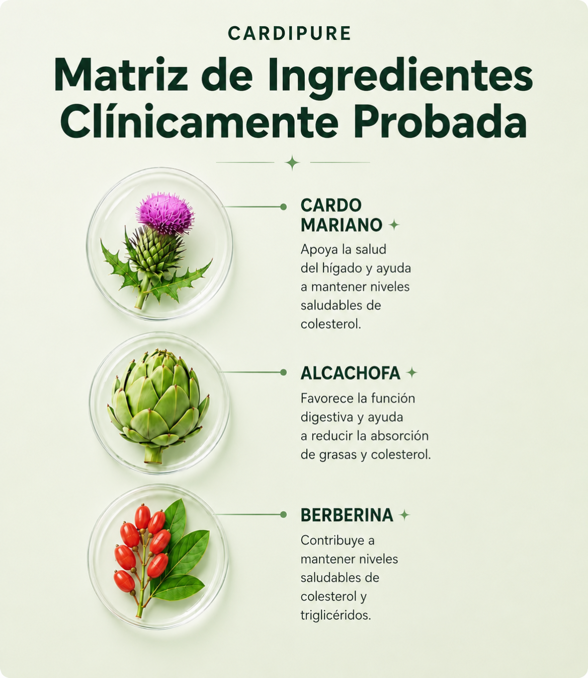 Suplemento CardiPure | Controla el Colesterol y Apoya la Pérdida de Peso